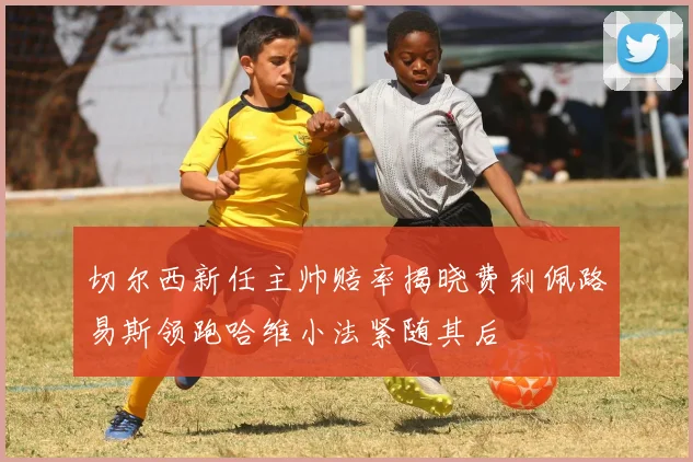 切尔西新任主帅赔率揭晓费利佩路易斯领跑哈维小法紧随其后