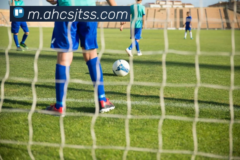 App Interface Preview